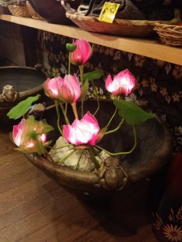 蓮の花ランプ